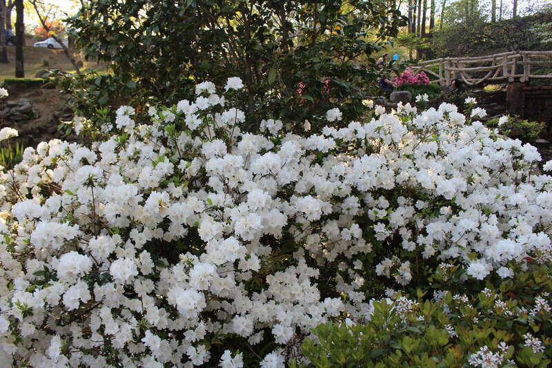 T. R. Pugh Memorial Park, North Little Rock, Pulaski County, Arkansas