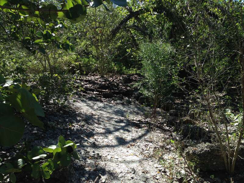The tabby house ruins in De Soto National Memorial.