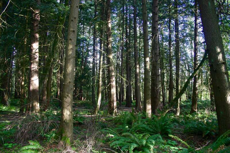 Tualatin Hills Nature Reserve-0