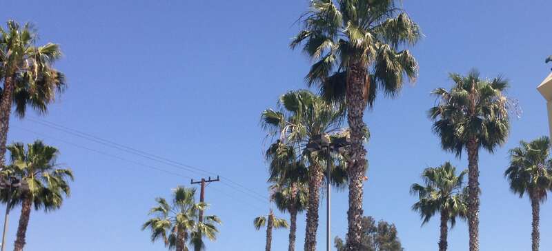 West Hollywood, CA, USA