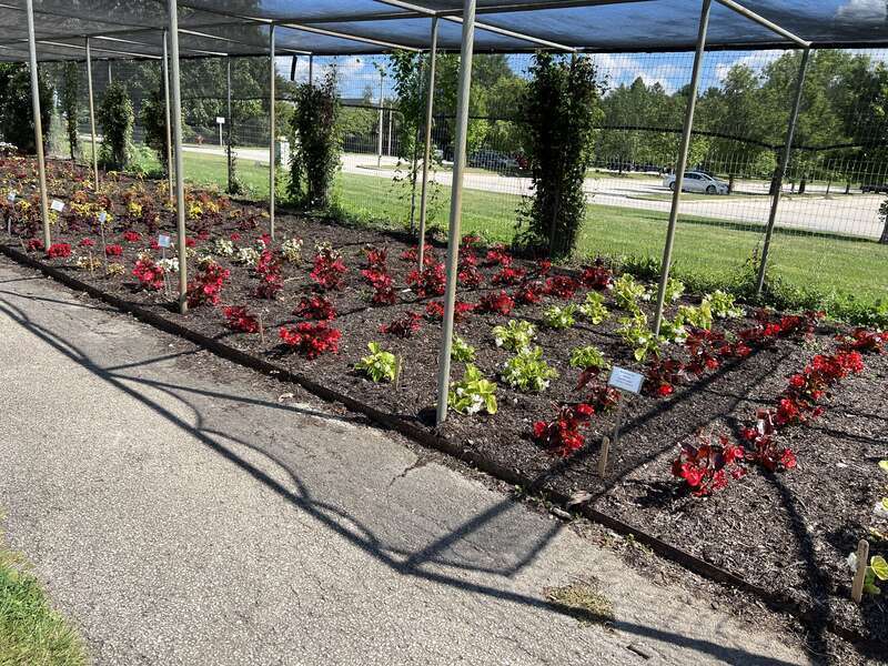 Whitnall Park John and Hildegarde Voigt Trail Garden flowers