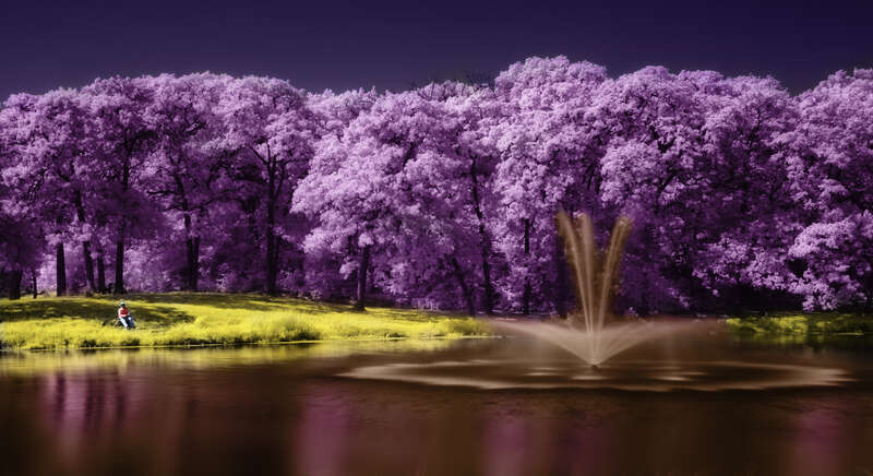 720nm infrared
hand tinted through the magic of Photoshop
randol mill park

arlington, texas