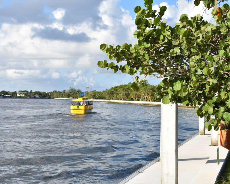 A water taxi departs from Hugh Taylor Birch State Park in Fort Lauderdale, Florida.