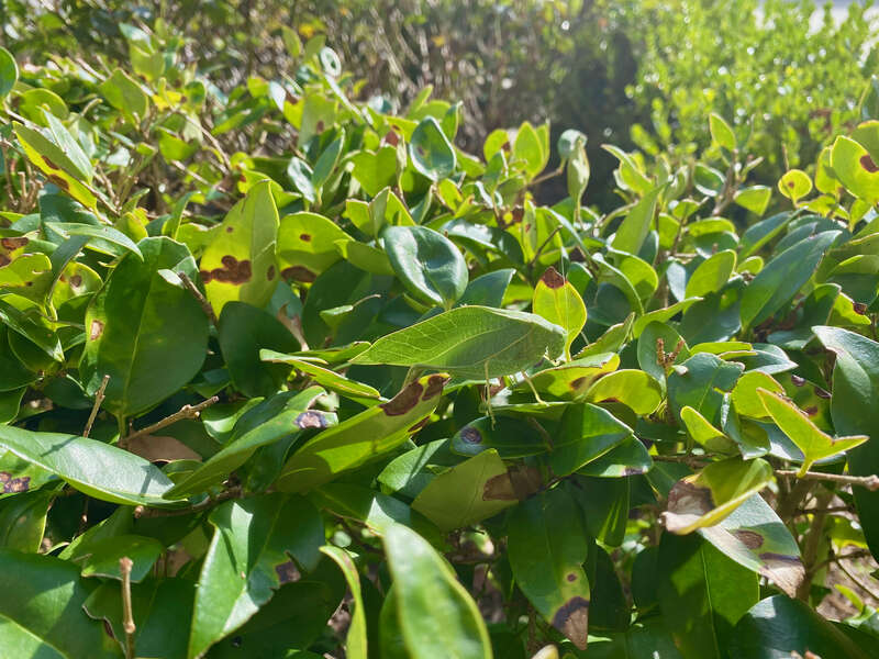 Alone among your own