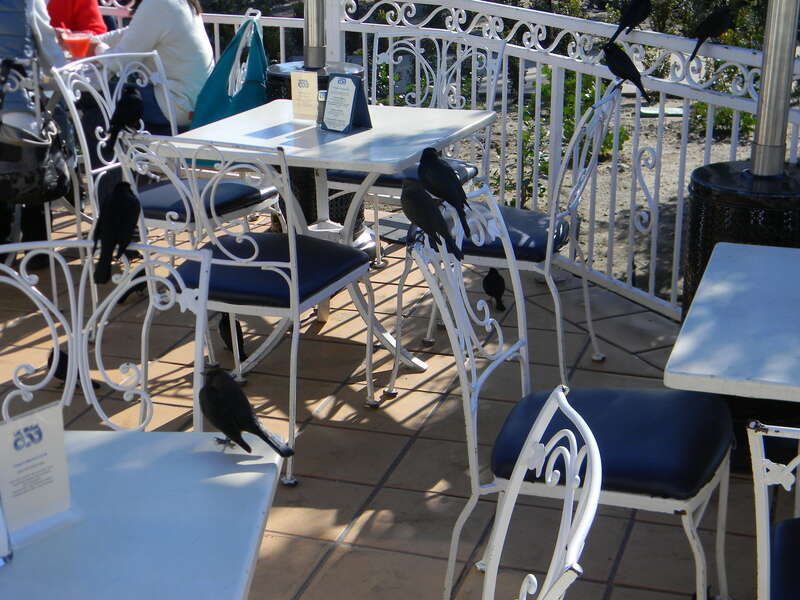 Laguna Beach, CA, USA