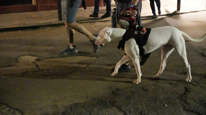 Travel to NOLA - February 2024 - Wicked History, Ghost, Vampire, Voodoo Walking Tour 
Adults Only Wicked History, Ghost, Vampire, &amp;amp; Voodoo Walking Tour

If you?re curious about the spooky side of New Orleans?including paranormal activity, voodoo