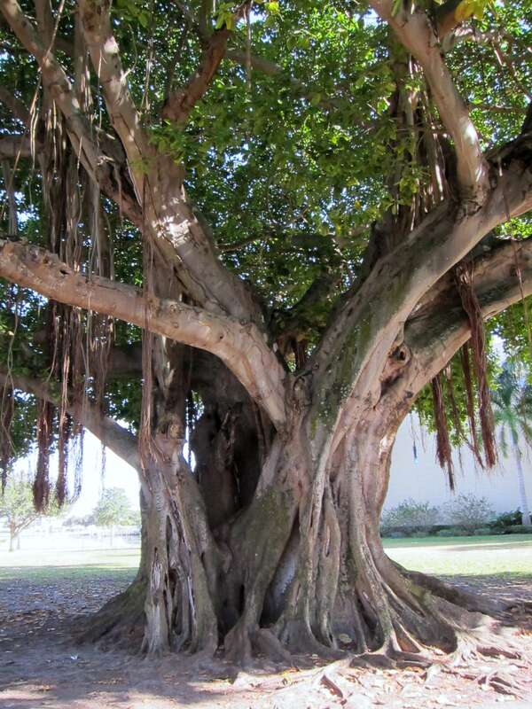 St.Petersburg,Florida,USA.