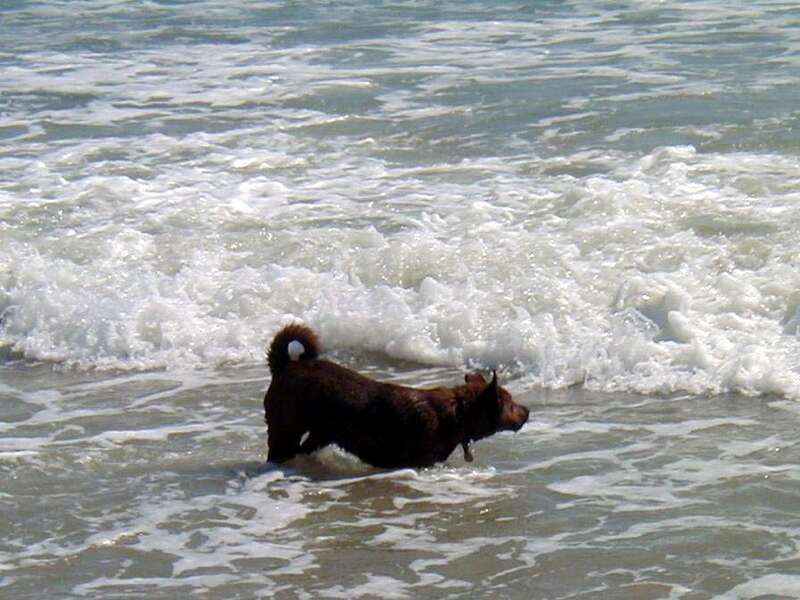 He has never really figured out how the waves work and they surprise him every time.