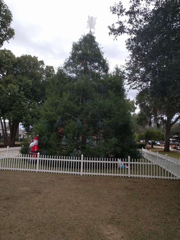 Winter Park Christmas Tree Number 1