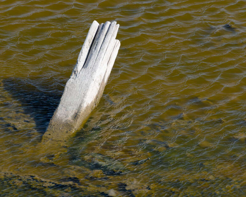 500px provided description: Untitled []