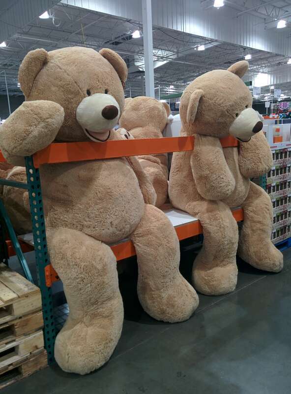 8 foot costco bear