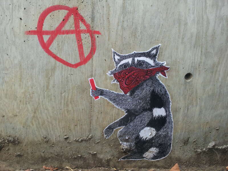 A wheatpaste of a raccoon painting a "circle-A" anarchy sign on the side of a building near the UC Berkeley campus.