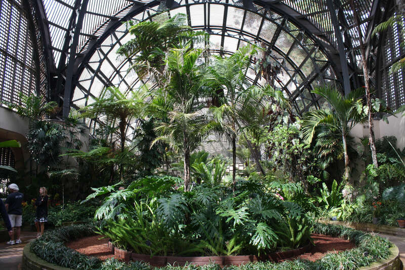 Interior of the Balboa Park Botanical Building, San Diego, California