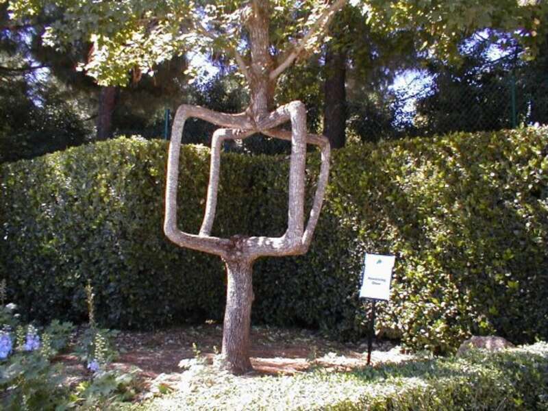 Bonfante Gardens, Gilroy, CA