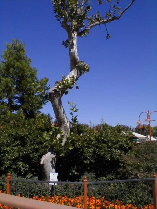 Bonfante Gardens, Gilroy ,CA