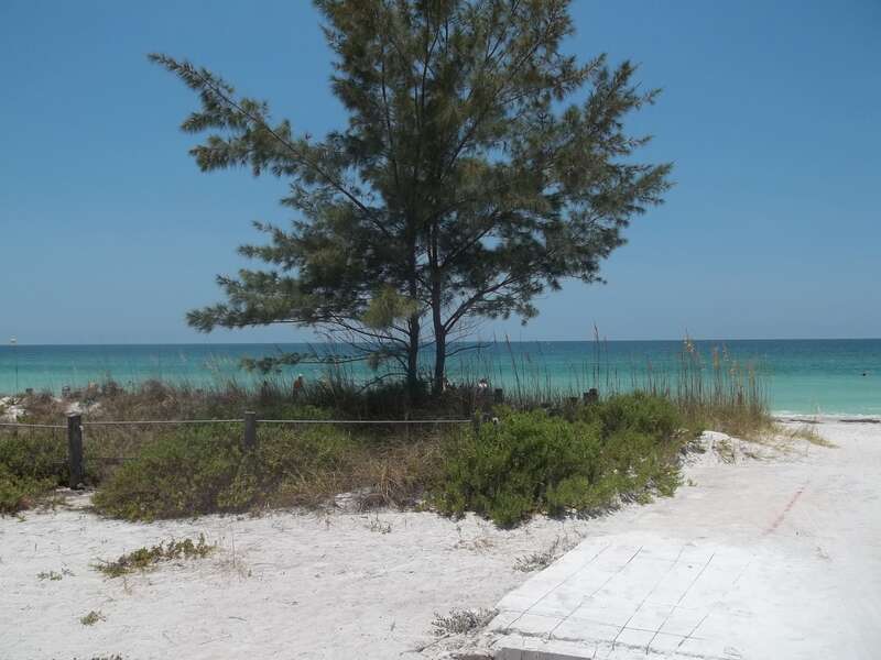Bradenton Beach, Florida: SS Regina (1904)