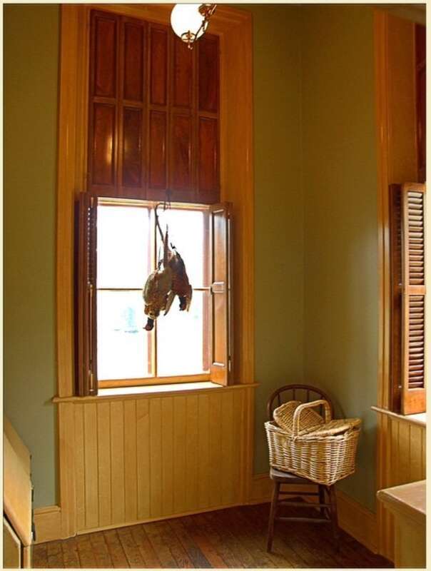 Game pheasants hung in the larder.