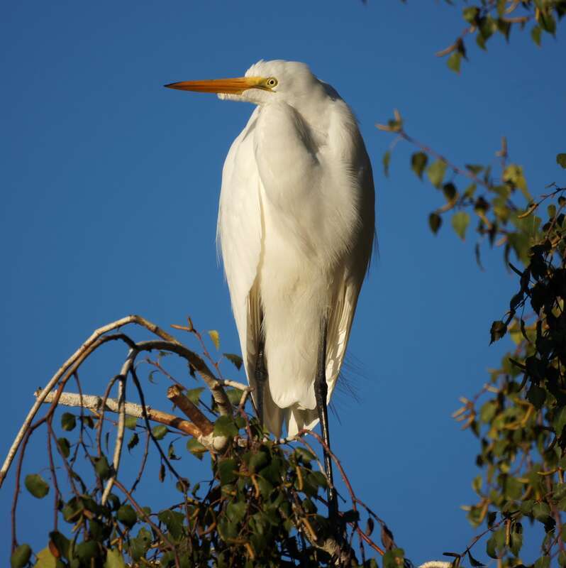 Glen Helen Regional Park,

San Bernardino, CA