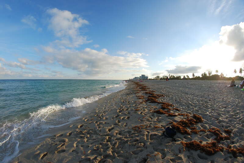 Hollywood Beach, Hollywood, FL 33019, USA