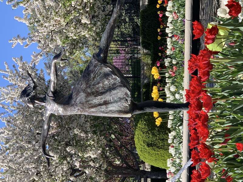 Ewing and Muriel Kauffman Memorial Garden