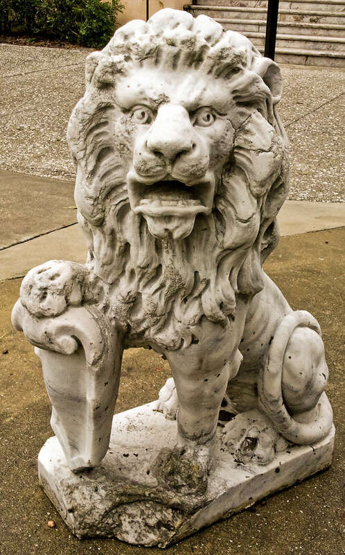 500px provided description: Lion [#lion]