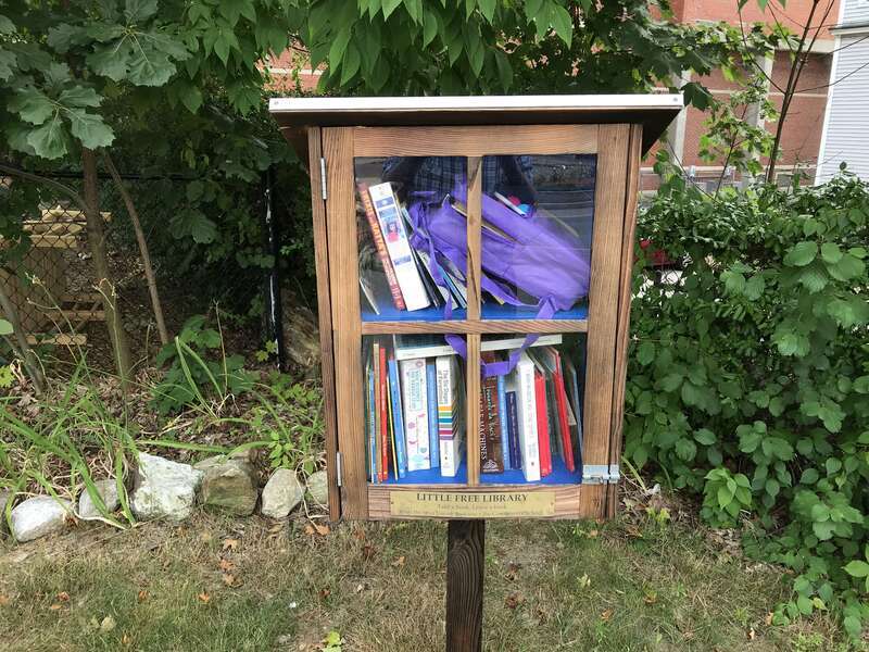 Little Free Library, Main Street, Maynard Massachusetts