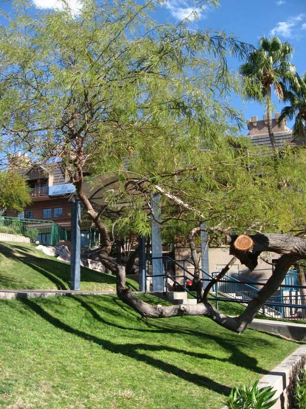 The London Bridge, currently located in Lake Havasu City, Arizona, USA, was originally constructed in London, in 1831. The bridge was the last project of engineer John Rennie and completed by his son, also named John Rennie. By 1962, the bridge was