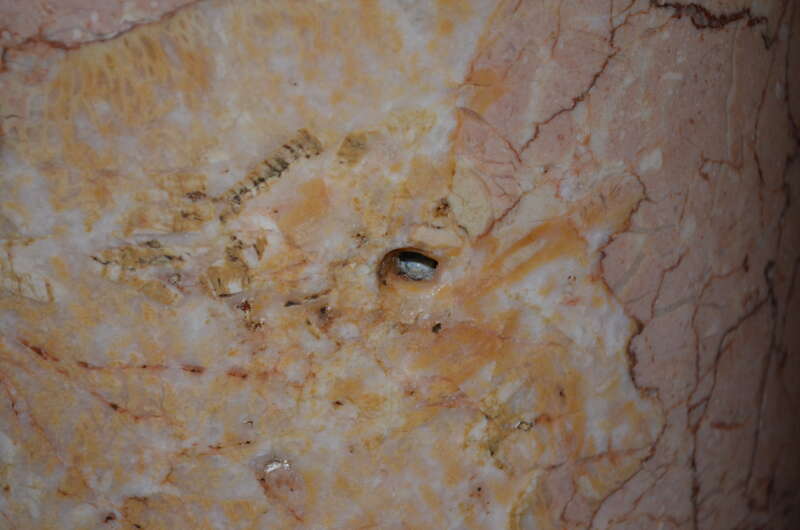 Close-up of the column at the Louisiana State Capitol in Baton Rouge, Louisiana containing a bullet hole from the assassination of Huey Long.