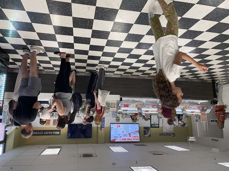 Michigan State University