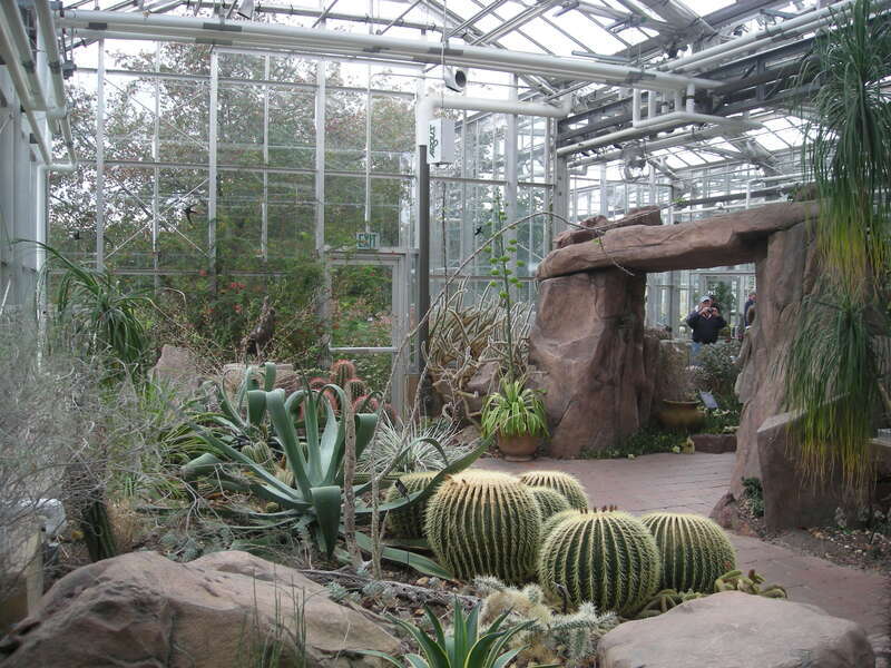 The interior of the Earl and Donnalee Holton Arid Garden at the Frederik Meijer Gardens &amp;amp; Sculpture Park in Grand Rapids Township, Michigan (United States).