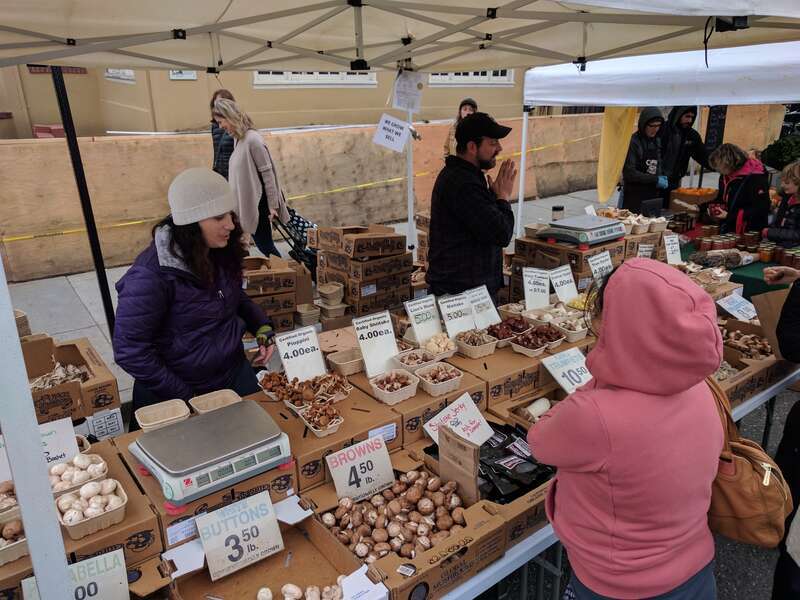 A vendor selling various types of mushrooms at the farmers' market in downtown Campbell, California.