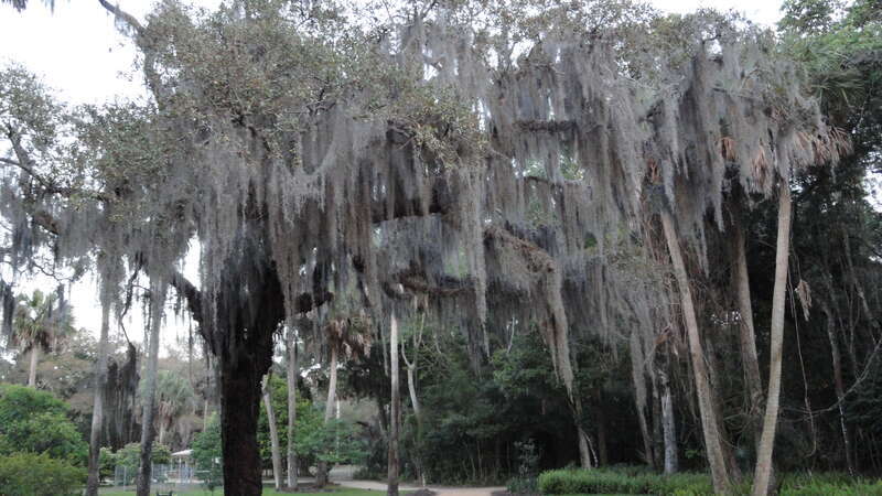 Not to Touch the Earth