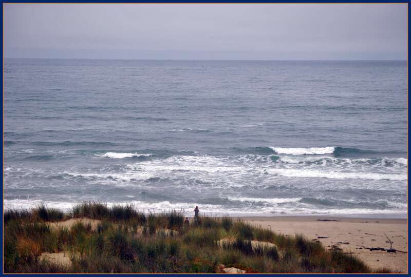 One of a series of photos taken from the Pacific Surfliner at Surf Amtrak station in California