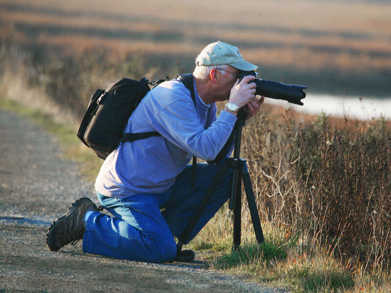 A bird photograper at Palo Alto, California, USA.
