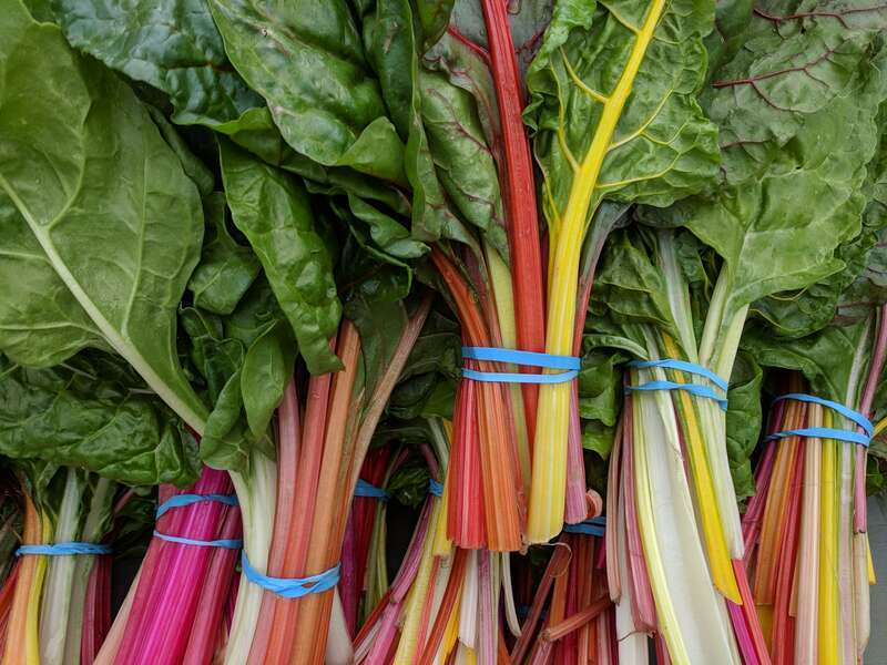 Bundles of rainbow chard for sale from a produce vendor at the Campbell farmers market in Campbell, California.