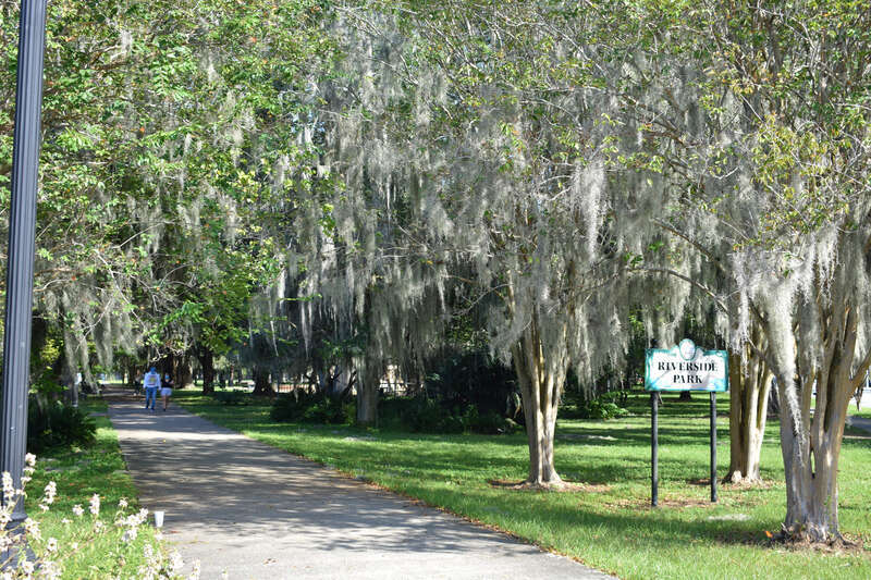 Riverside Park in Jacksonville, Florida.