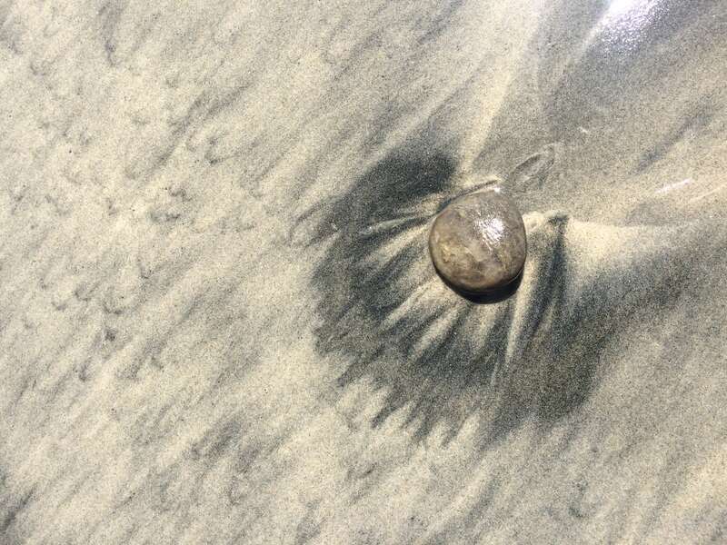 California, USA - September 2016

San Diego in September 2016