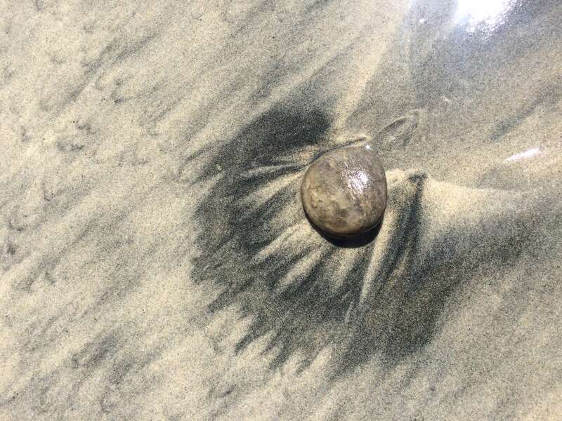 California, USA - September 2016

San Diego in September 2016