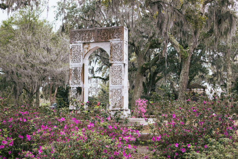 A view through the cemetery of the family plot of Confederate Brigadier-General Alexander R. Lawton in the Bonaventure Cemetery near Savannah, Georgia. The prominent gate is intricately carved and stands among live oaks and magenta-colored rose