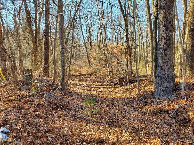 Abandoned right-of-way of the Eastern Massachusetts Street Railway Providence–Taunton line in Rehoboth, seen in December 2021