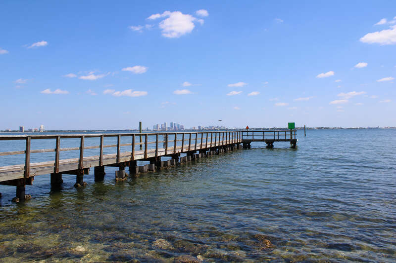 The Tampa Skyline as seen from Ballast Point Park on April 24th, 2024.