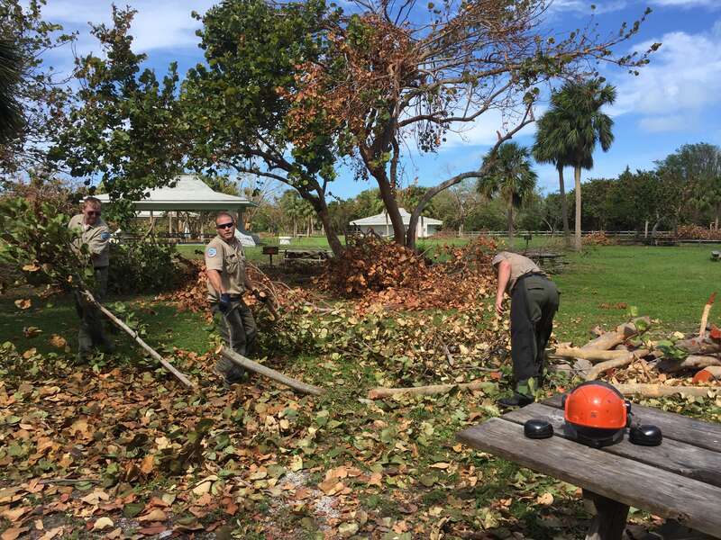 Team 2 clearing picnic area 9/23