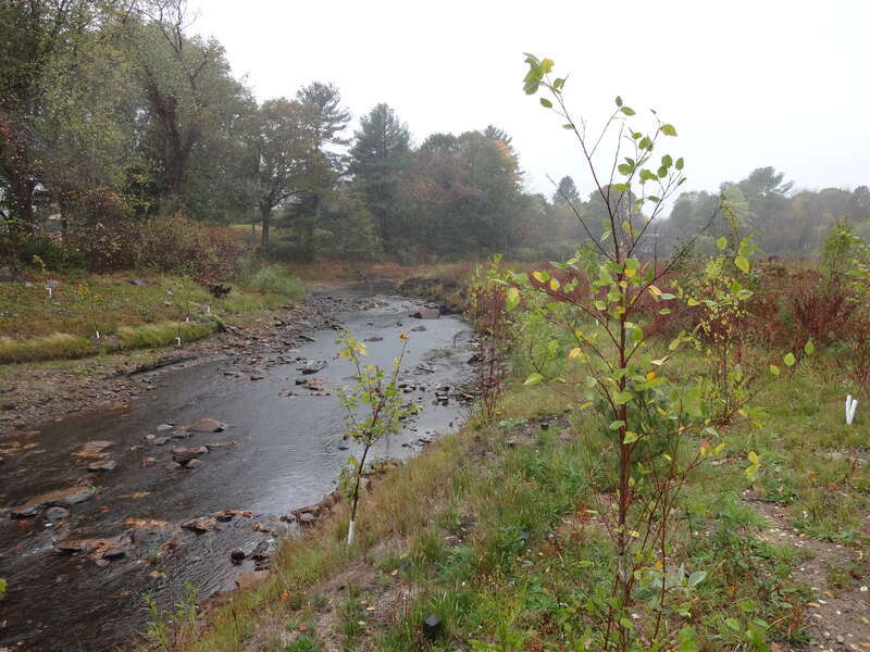 This project removes two aging mill dams from the Mill River in Taunton, Massachusetts and increases the benefits of a restored river system while protecting human structures. The project is opening up 30 miles of high-quality habitat for American