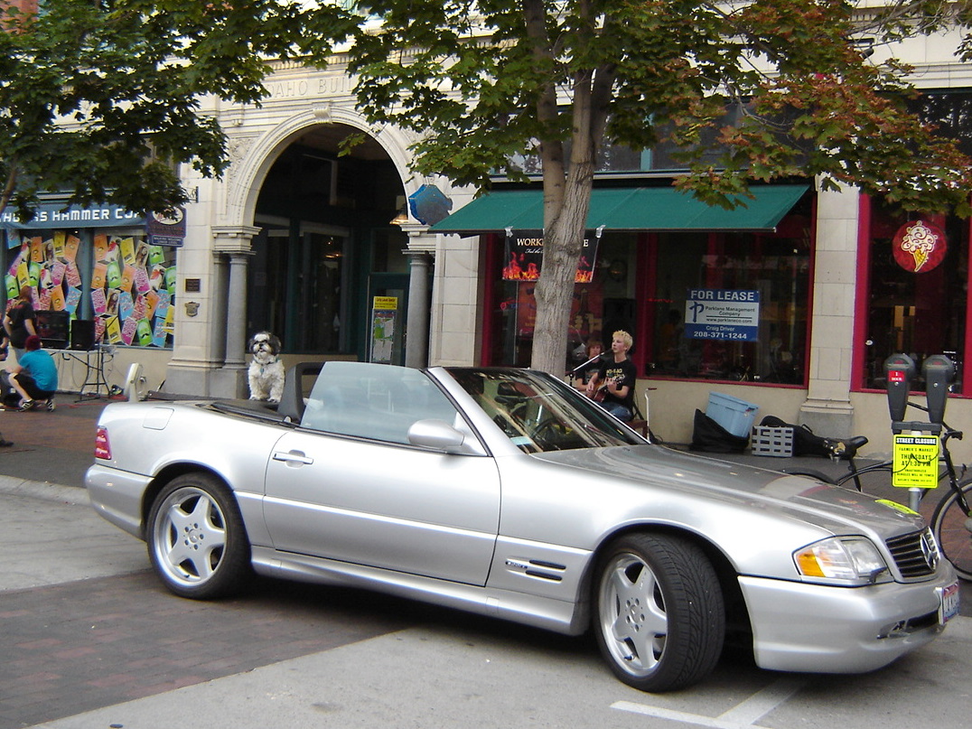 개팔자가 상팔자 at Downtown Boise Idaho