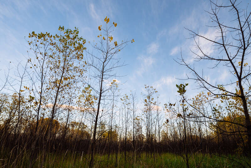 Red River State Recreation Area, Minnesota