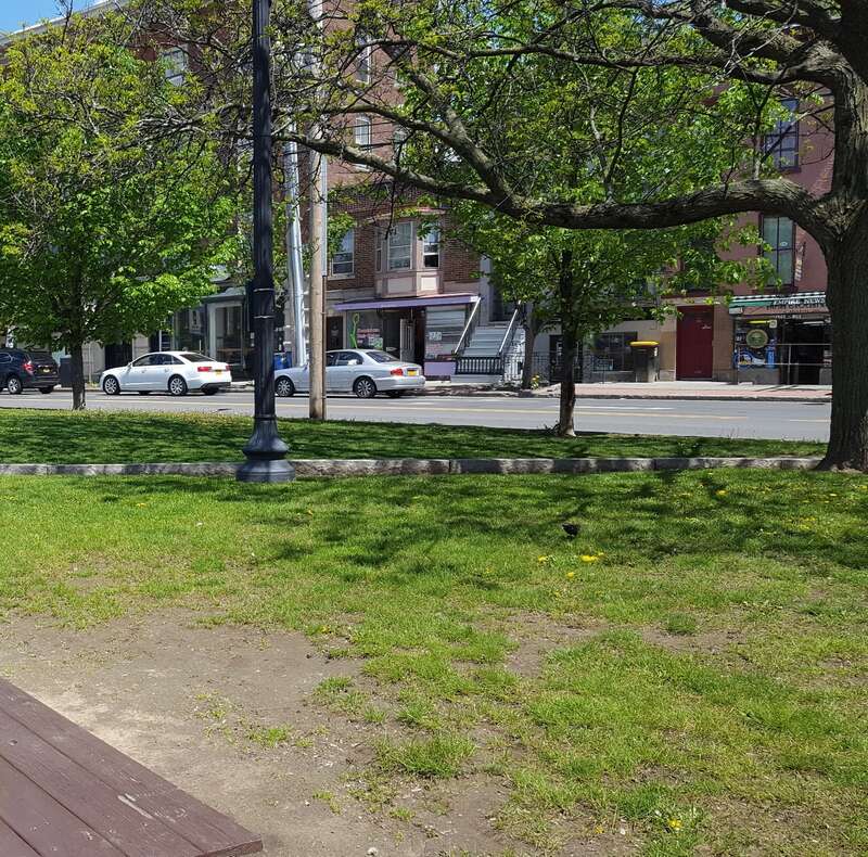 The Capital District Tourism Gnome enjoys a beautiful day in Dana Park, Albany, New York.