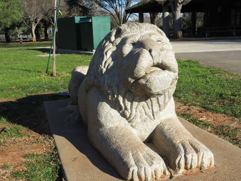 Folsom City Park Lion 05