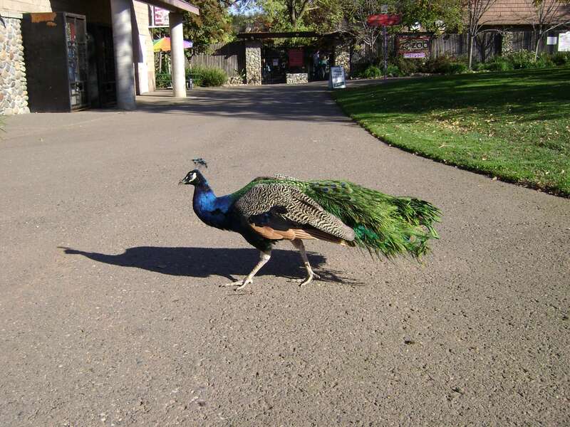 Folsom City Zoo entrance