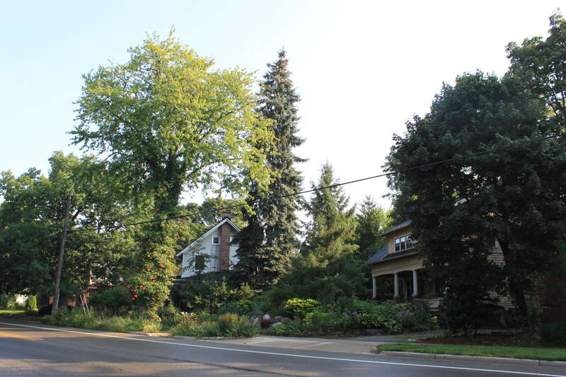 Front yard garden, 1415 Packard Street, Ann Arbor, Michigan