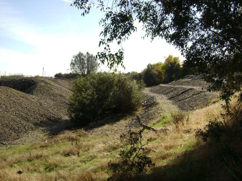 Gold dredge tailings